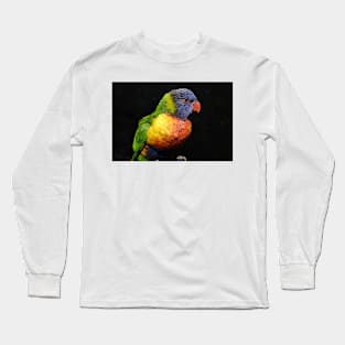 Colorful Bird Long Sleeve T-Shirt